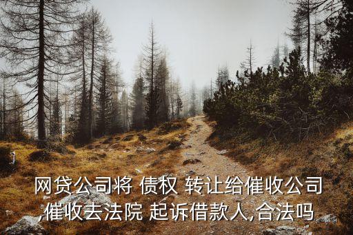  網(wǎng)貸公司將 債權(quán) 轉(zhuǎn)讓給催收公司,催收去法院 起訴借款人,合法嗎