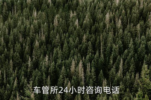 長(zhǎng)沙車管所