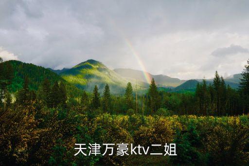  天津萬豪ktv二姐