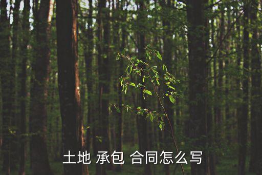  土地 承包 合同怎么寫