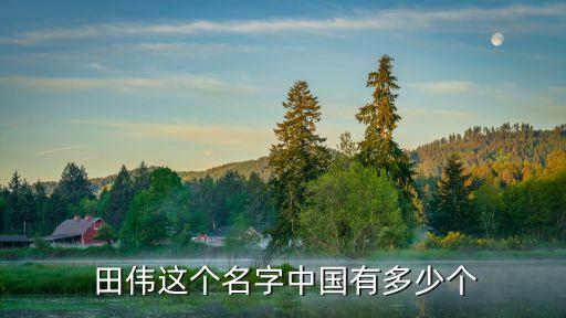  田偉這個(gè)名字中國有多少個(gè)