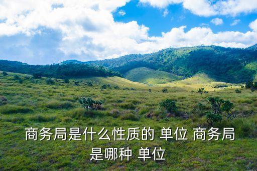 商務(wù)局這個(gè)單位好不好,市級(jí)商務(wù)局單位好不好