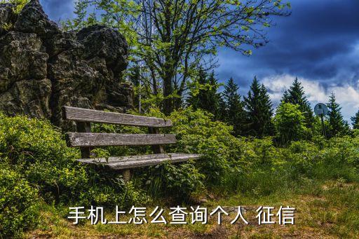 手機(jī)查征信