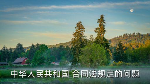 中華人民共和國 合同法規(guī)定的問題