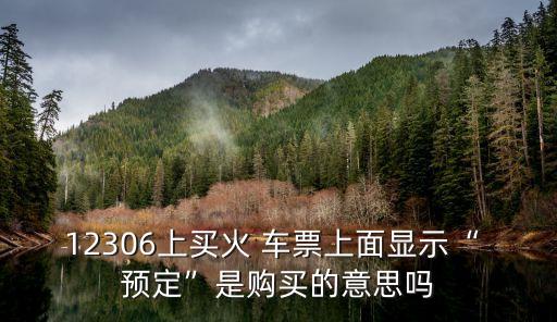 12306上買火 車票上面顯示“ 預(yù)定”是購(gòu)買的意思嗎