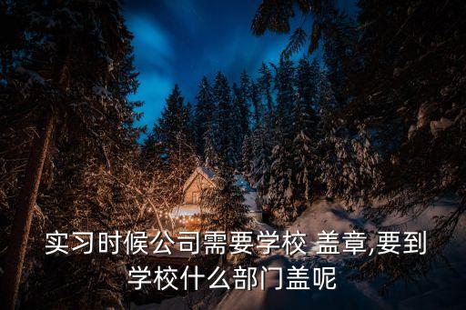  實(shí)習(xí)時(shí)候公司需要學(xué)校 蓋章,要到學(xué)校什么部門(mén)蓋呢
