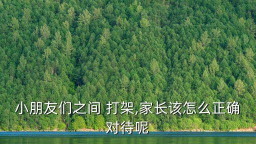 小朋友們之間 打架,家長該怎么正確對待呢