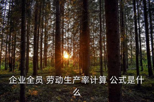 勞動(dòng)生產(chǎn)率公式,一季度平均勞動(dòng)生產(chǎn)率公式