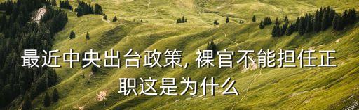 最近中央出臺(tái)政策, 裸官不能擔(dān)任正職這是為什么