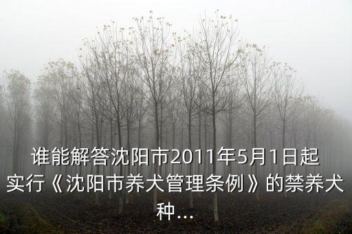 意大利紐波利頓犬