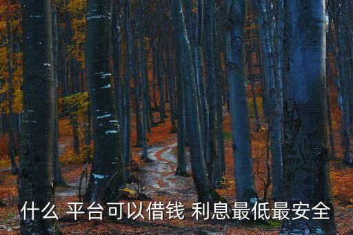什么 平臺可以借錢 利息最低最安全