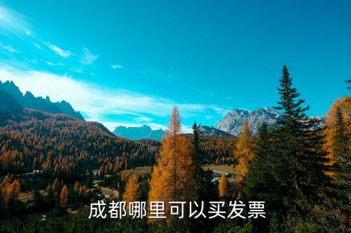 成都開(kāi)發(fā)票