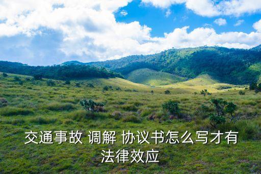 交通事故調(diào)解協(xié)議