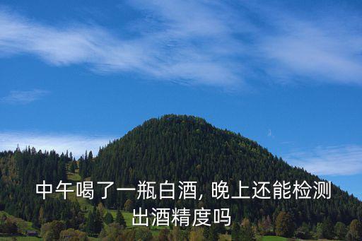 中午喝的酒晚上還會測得出來嗎,測酒儀器多少錢一個啊