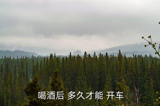  喝酒后 多久才能 開車