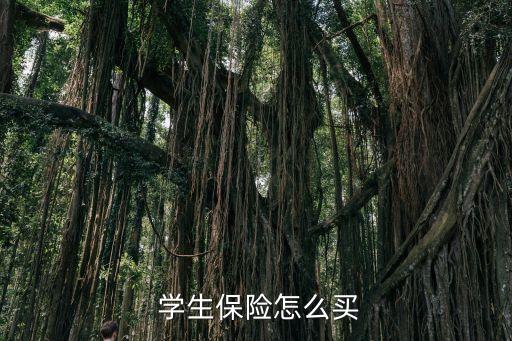 學(xué)生平安保險(xiǎn)