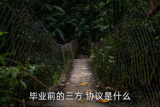 大學(xué)生就業(yè)協(xié)議是什么,應(yīng)屆生簽了三方協(xié)議可以毀約嗎