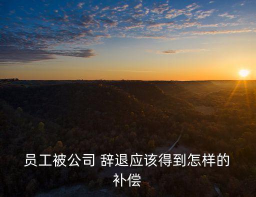 企業(yè)辭退員工應該給予哪些補償,公司勸退員工怎么賠償