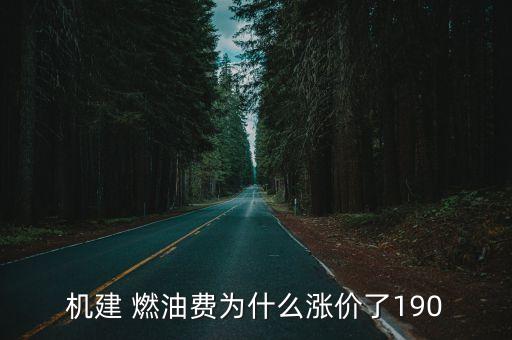 燃油機(jī)建費(fèi),往返機(jī)票需要幾次燃油機(jī)建費(fèi)