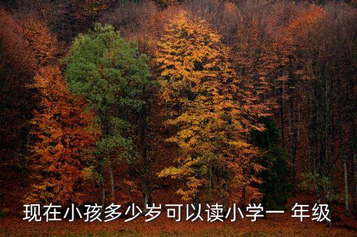 幾歲讀一年級,2023年幾歲讀一年級