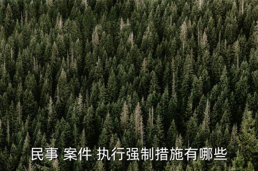 案件執(zhí)行
