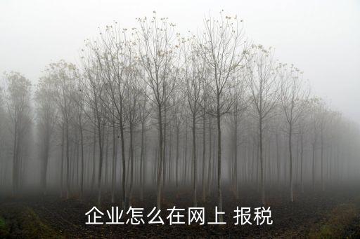 企業(yè)怎么在網(wǎng)上 報稅