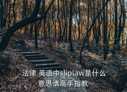  法律 英語中sliplaw是什么意思請高手指教