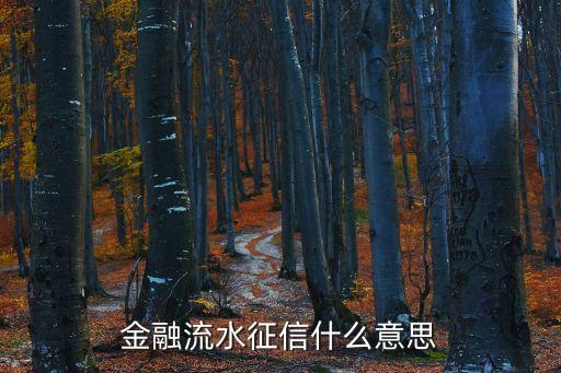 金融流水征信什么意思