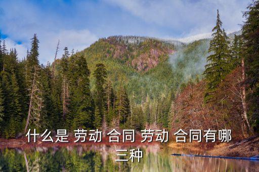 勞動(dòng)合同包含的內(nèi)容,正規(guī)勞動(dòng)合同應(yīng)該包含哪些內(nèi)容
