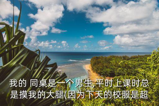 我的 同桌是一個(gè)男生,平時(shí)上課時(shí)總是摸我的大腿(因?yàn)橄绿斓男７浅? class=