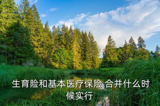 生育險(xiǎn)和醫(yī)保合并了嗎,2023年生育險(xiǎn)和醫(yī)保合并了嗎