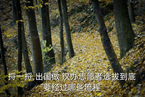 捋一捋,出國(guó)做 漢辦志愿者選拔到底要經(jīng)過(guò)哪些流程