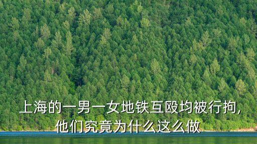  上海的一男一女地鐵互毆均被行拘,他們究竟為什么這么做