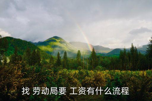 找 勞動(dòng)局要 工資有什么流程
