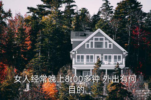 外出的目的