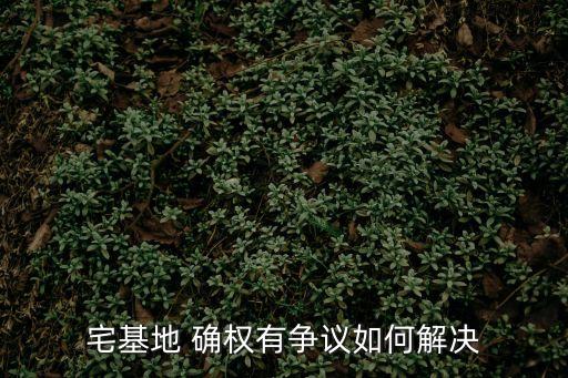 宅基地 確權(quán)有爭(zhēng)議如何解決