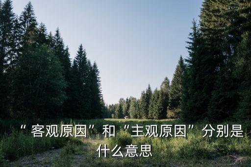 “ 客觀原因”和“主觀原因”分別是什么意思