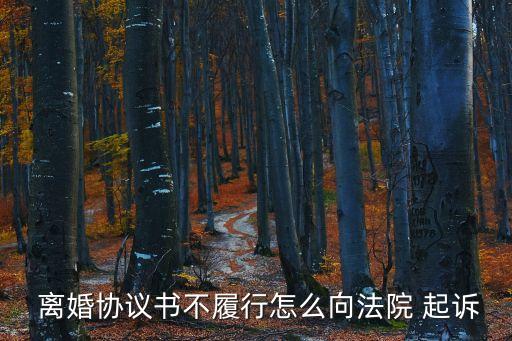  離婚協(xié)議書不履行怎么向法院 起訴