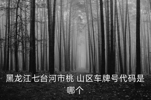 黑龍江七臺河市桃 山區(qū)車牌號代碼是哪個