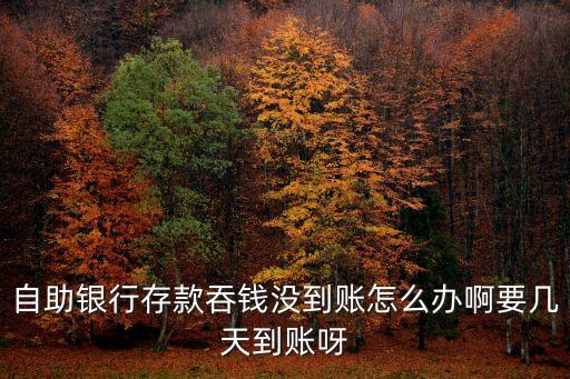 自助銀行存款吞錢沒到賬怎么辦啊要幾天到賬呀