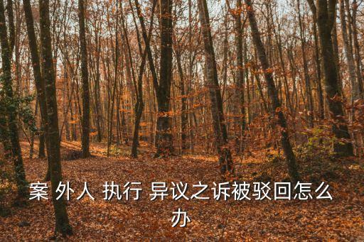 案外人執(zhí)行異議