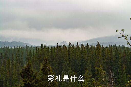  彩禮是什么