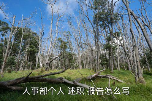 人事部個(gè)人 述職 報(bào)告怎么寫(xiě)