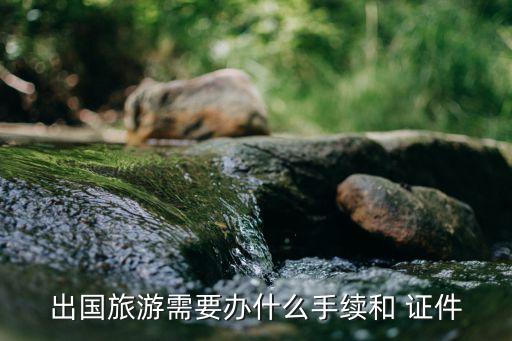 出國(guó)旅游需要辦什么手續(xù)和 證件