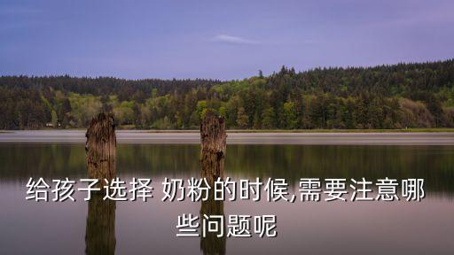 給孩子選擇 奶粉的時(shí)候,需要注意哪些問題呢