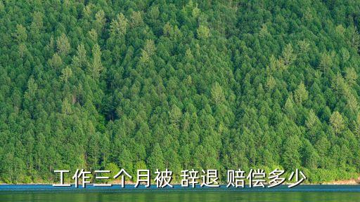 工作三個(gè)月被 辭退 賠償多少