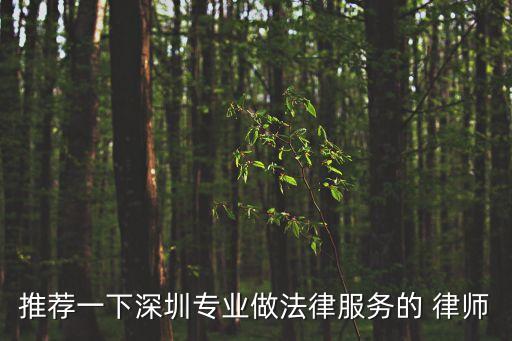 推薦一下深圳專業(yè)做法律服務(wù)的 律師