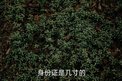 350身份證