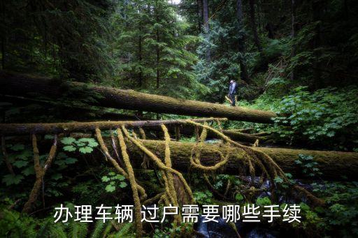 汽車過戶流程,12123汽車過戶流程