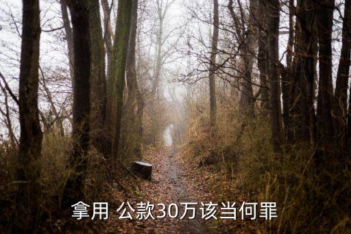 挪用公款司法解釋,兩高挪用公款司法解釋